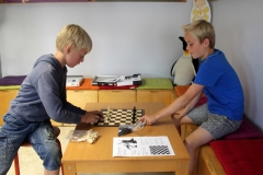 DSG schaken (2) (Kopie)