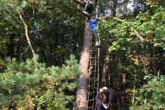 bomen klimmen (101) (Kopie)
