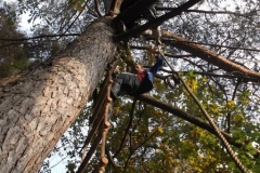 bomen klimmen (26) (Kopie)