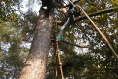 bomen klimmen (5) (Kopie)