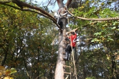 bomen klimmen (82) (Kopie)