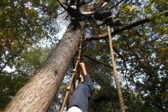 bomen klimmen (88) (Kopie)